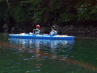 �����ΎY�̞w���΃J�k�[�c�A�[���z��