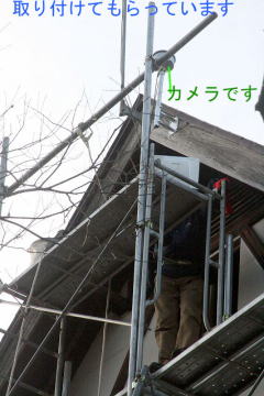 �S�V�E�S�V�󃉃����X�J�C�|�b�g���֒�