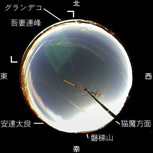 ���C�u�J�����摜�̕��p