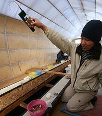 ���֒�O���΁������΃��J�T�M�ނ�