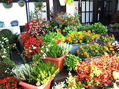 �ٓ��{�݃C���[�W