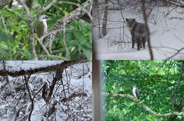 ���֒�̓�������