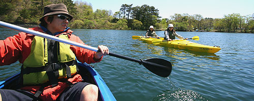 ���֒�ŃJ�k�[�R