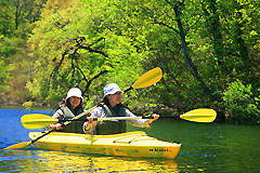 ���֒�ŃJ�k�[�S