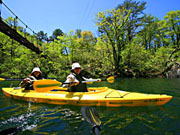 �΂ŃJ�k�[�����̂��ށI