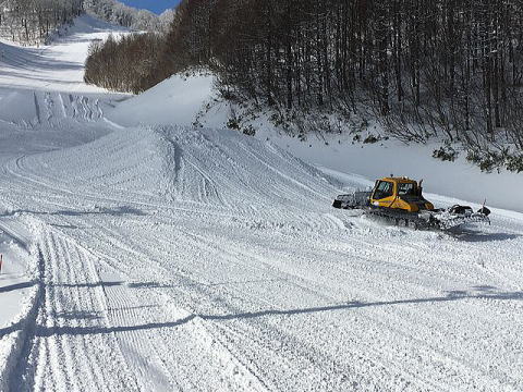 �L���X�L�[��p�[�N