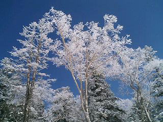 �O�����f�R���X