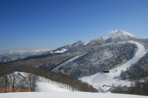 ���֒�L���X�L�[��