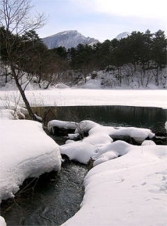 �~�̗����������