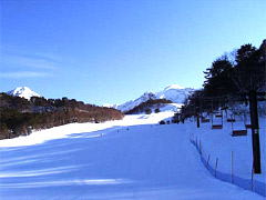 ���֒�X�L�[��