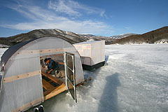 ���J�T�M�ނ�h�[���D�i���֒�j