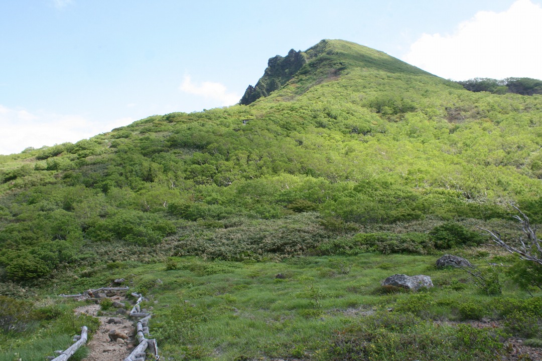 磐梯山とお花畑