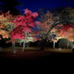 鶴ヶ城紅葉ライトアップ