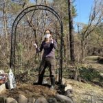 バラを巻き付けてバラアーチ完成