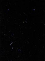 オリオンとおうし