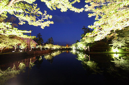 米沢城桜ライトアップ