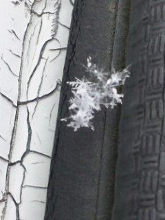 五色沼は雪101115