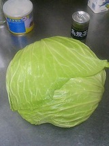 巨大なキャベツ