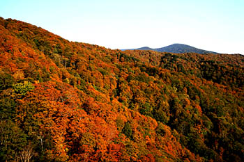 スカイバレー紅葉