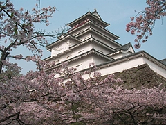 08-04-22鶴ヶ城の桜