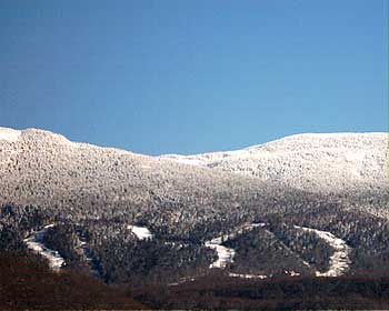 11月２１日デコ