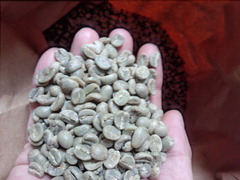 ペンションカレワラ　自家焙煎コーヒー　ケニアAA