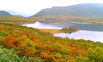 051010雄国沼金沢峠