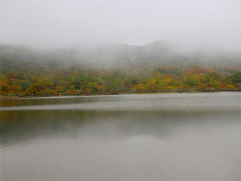 051010雄国沼対岸